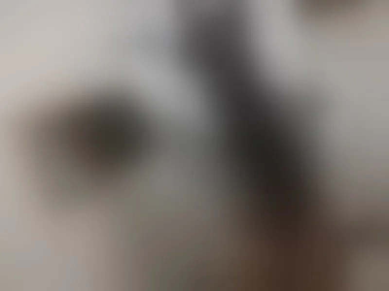 LadyVillalobos profielfoto van cam model