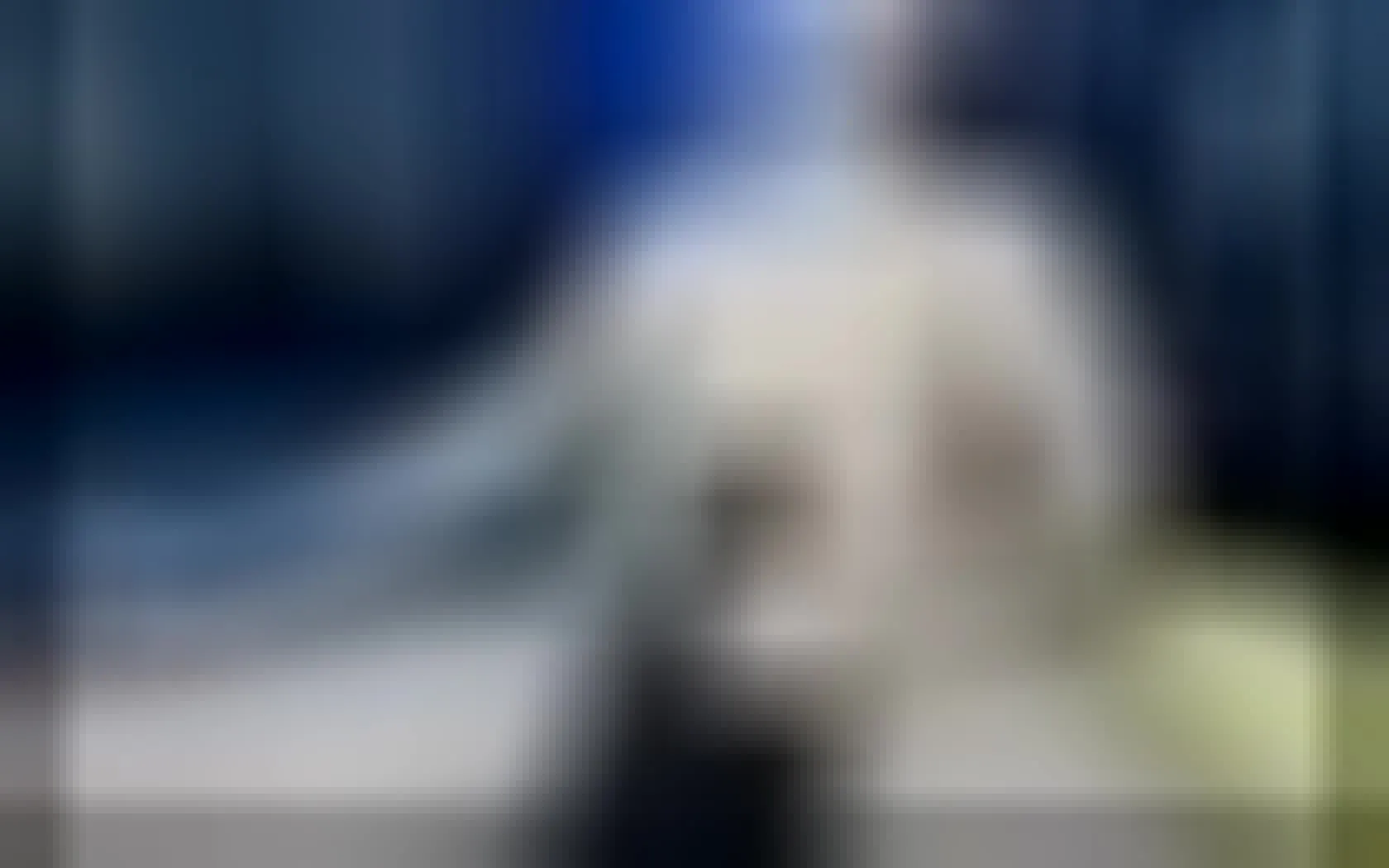Artiest jacobplein Video 1