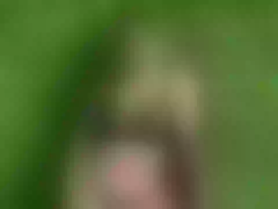 Image de profil du modèle de webcam VanessaBianchi