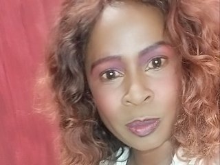 BlackSensational cam model profile picture