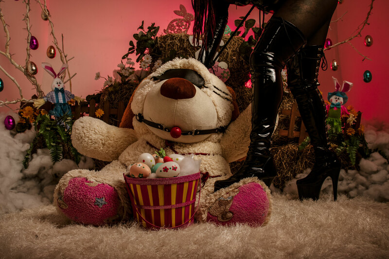 Interprète IrishDamico Photo 8