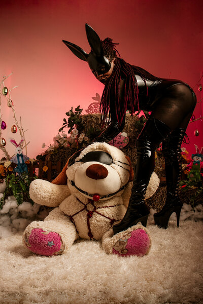 Interprète IrishDamico Photo 9