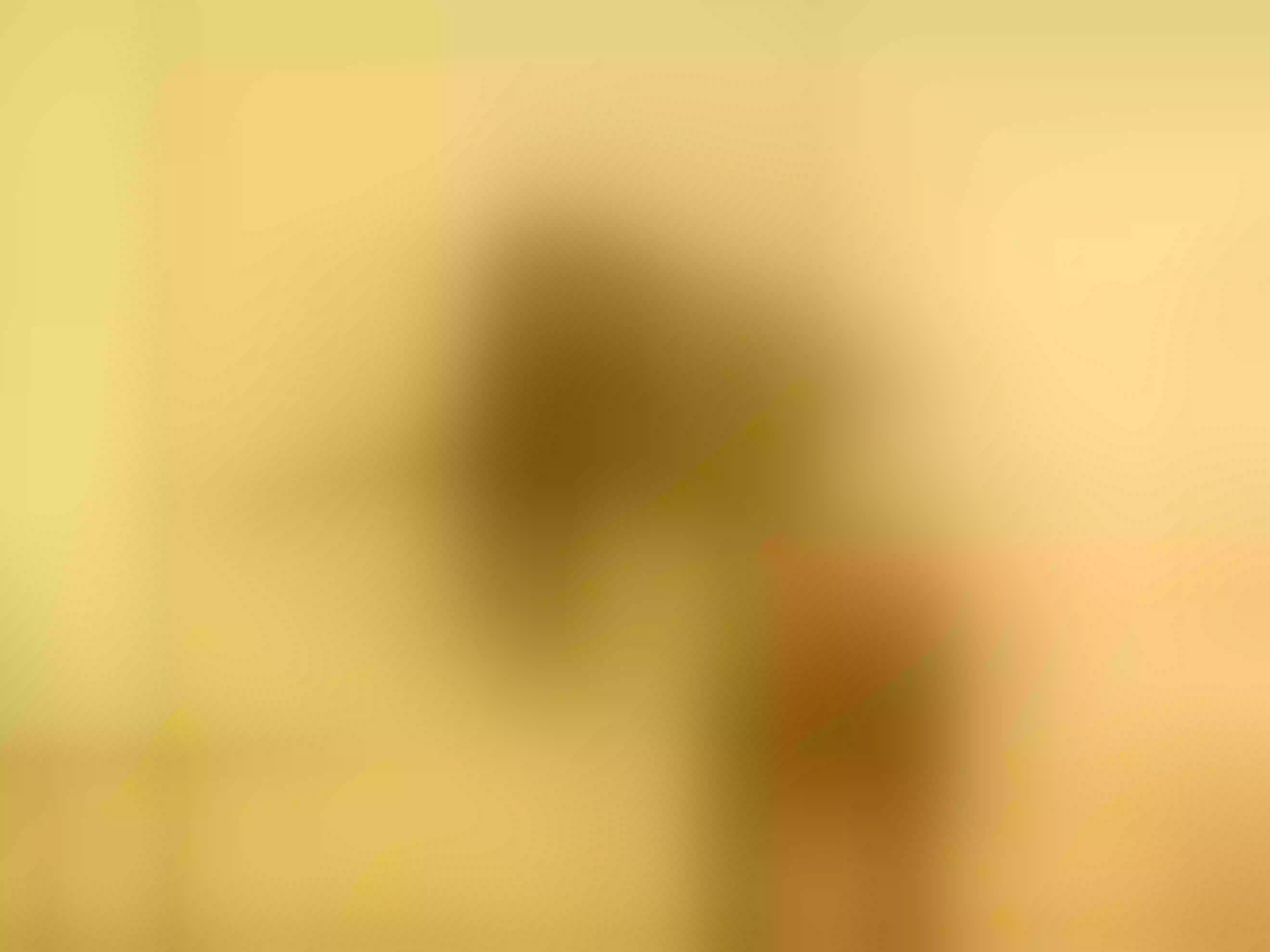 MadisonNova immagine del profilo del modello di cam