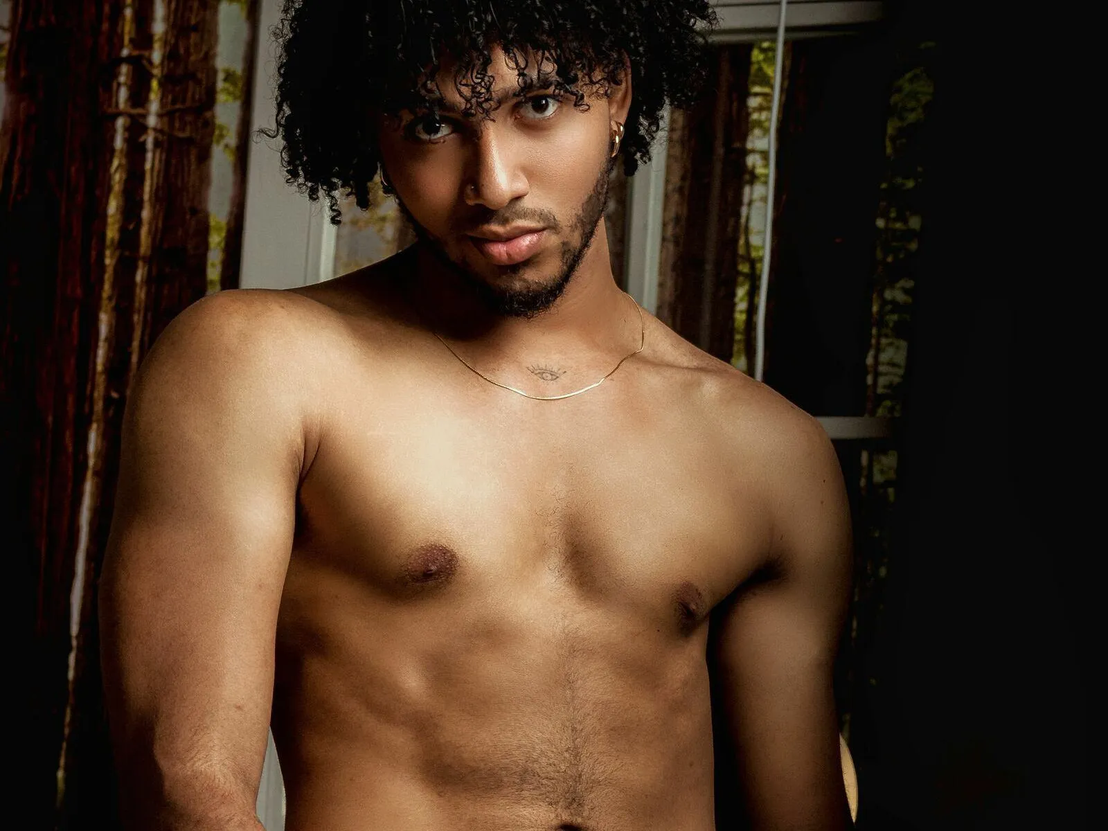 Foto de perfil de modelo de webcam de DominicAndersson