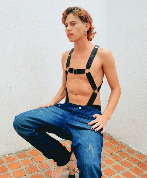 Intérprete DENVERMILLS Foto 9