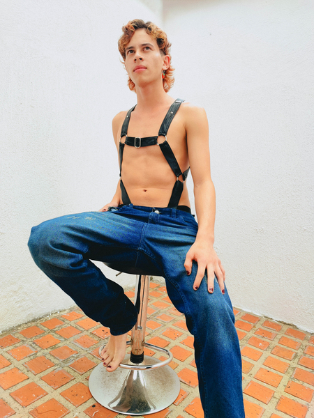 Intérprete DENVERMILLS Foto 12