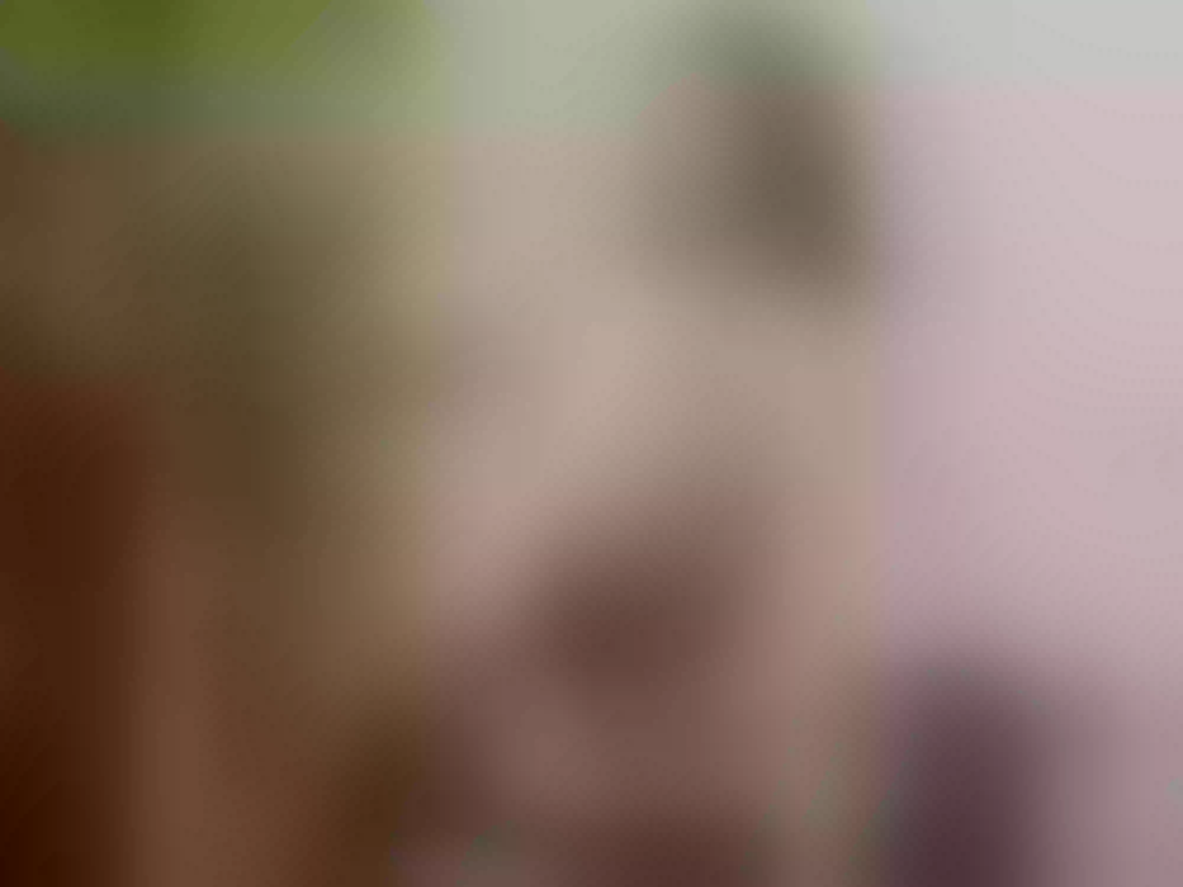 Salmarte profilbild på webbkameramodell