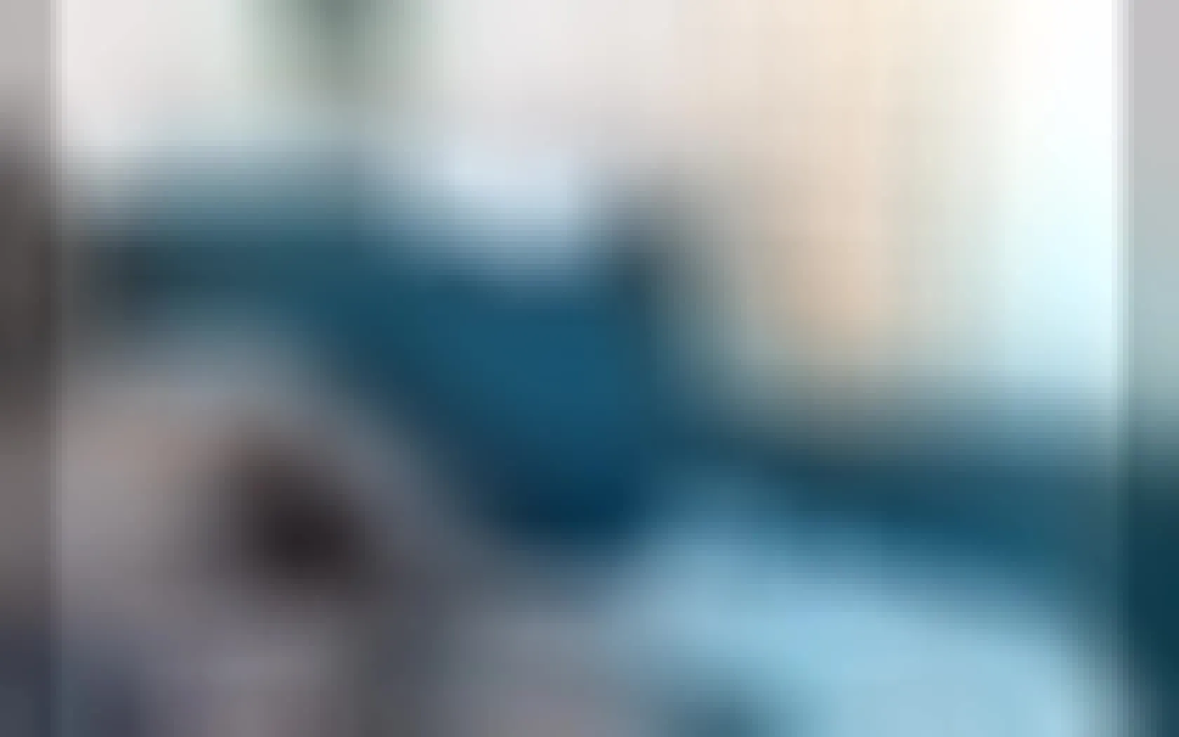 Utøver AlvaRox Video 1