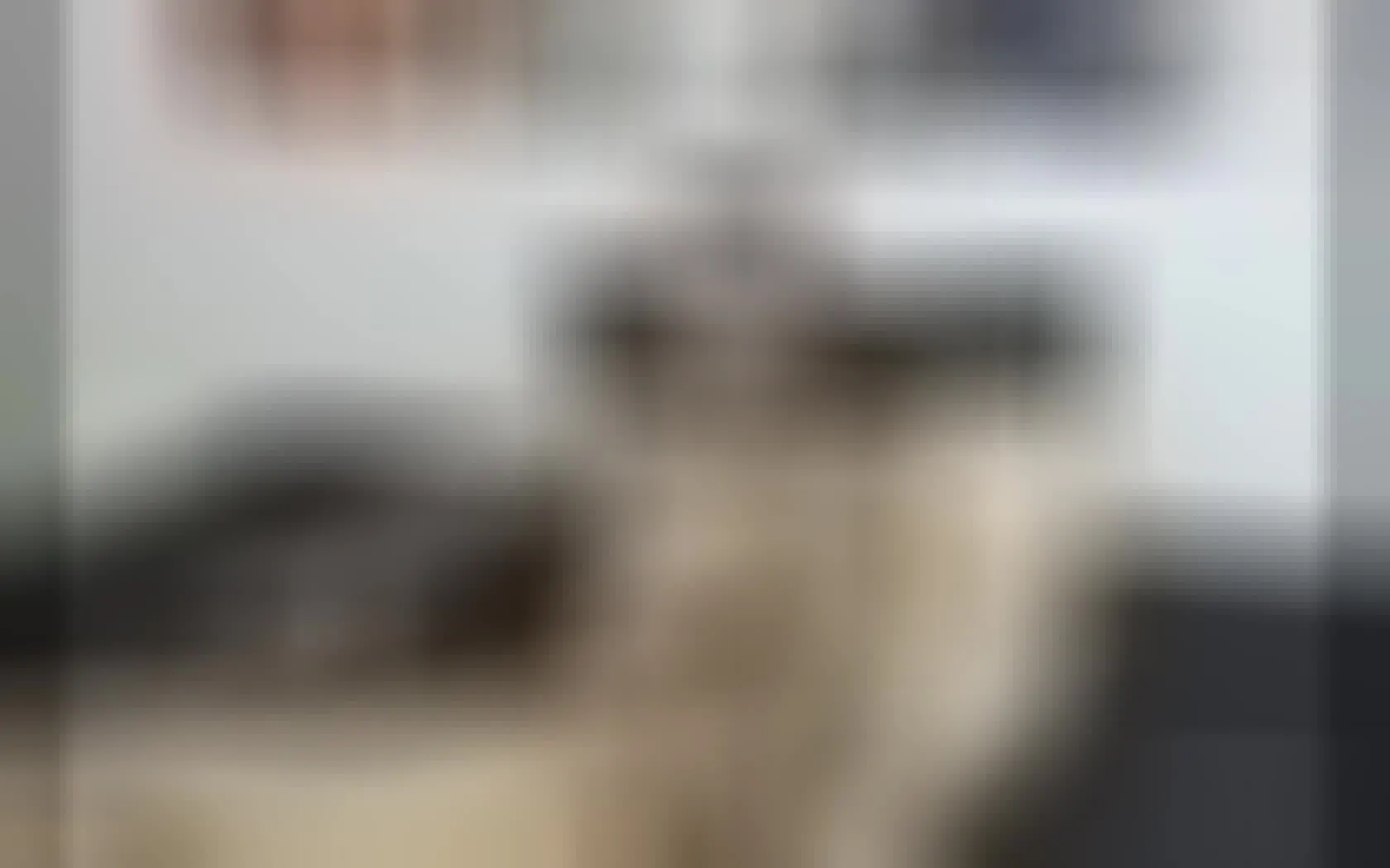 Interprete GrecCarmack Video 1