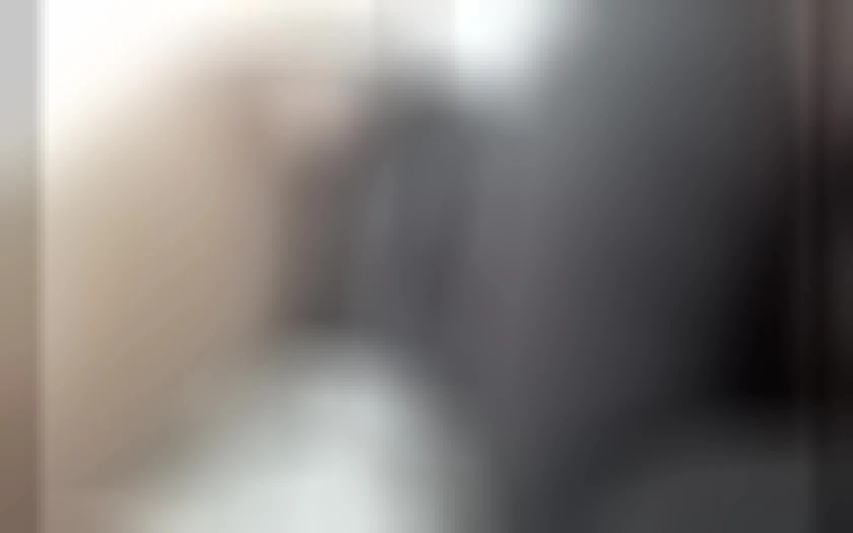 Interprete LexiBoss Video 1