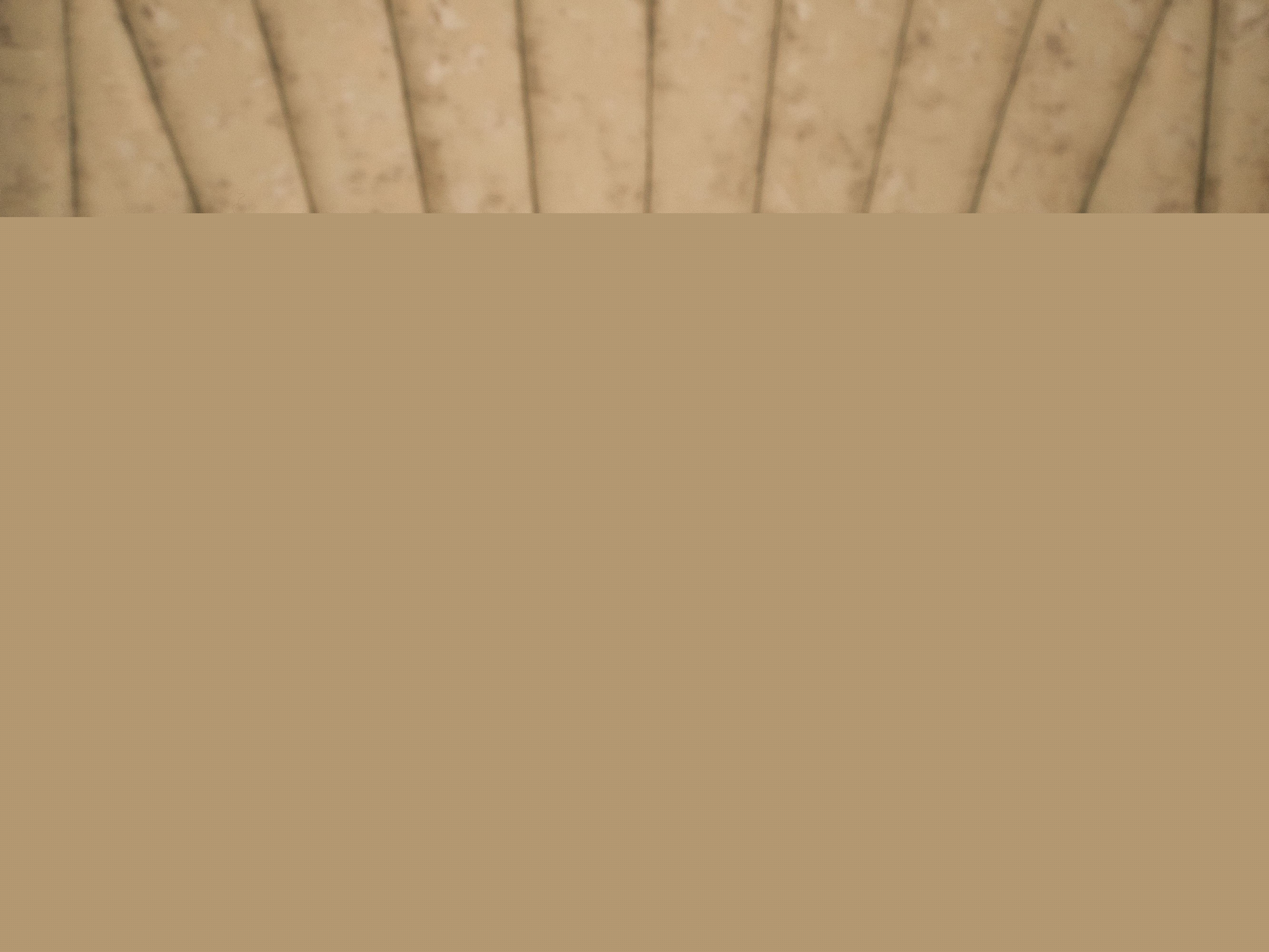 KeylaGreep Profilbild des Cam-Modells