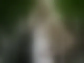 NakedXSecret