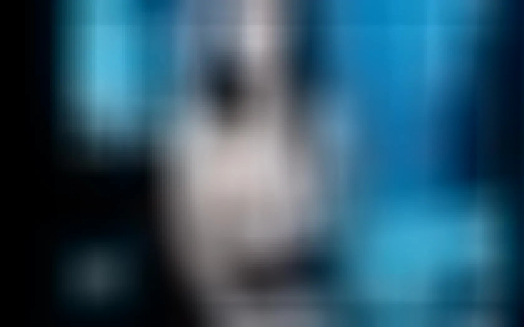 Artiest AnnieRosee Video 1