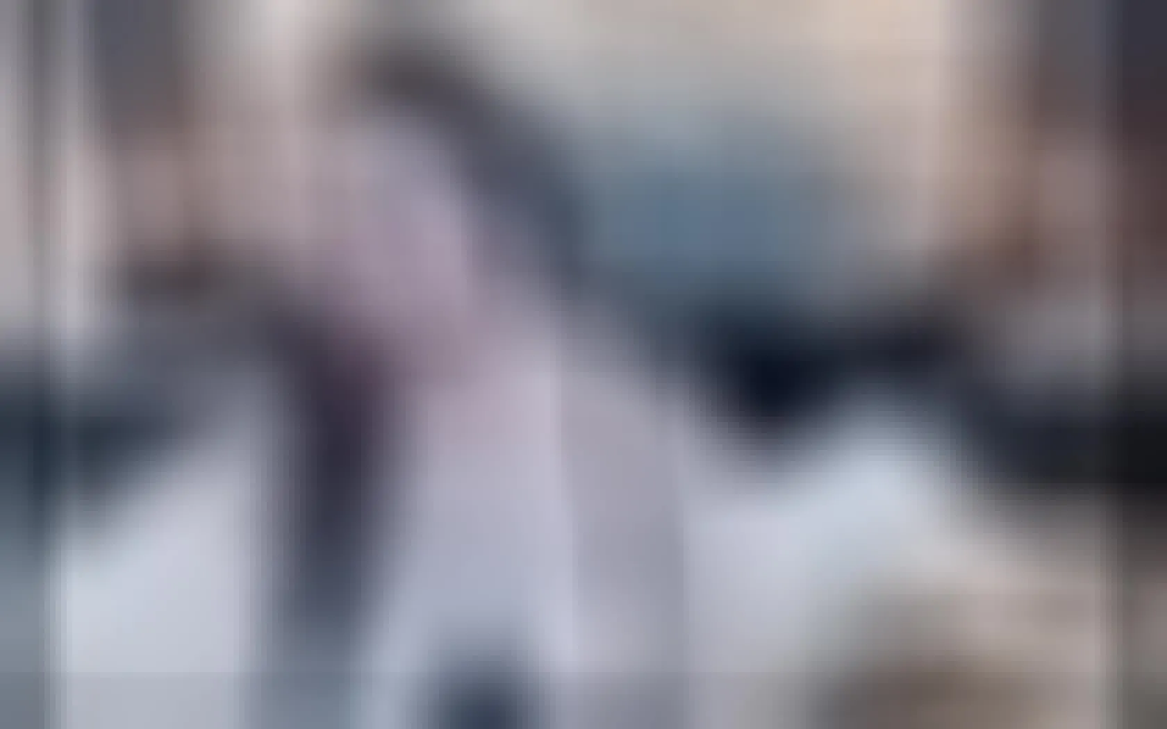 Artiest AbbySandler Video 1