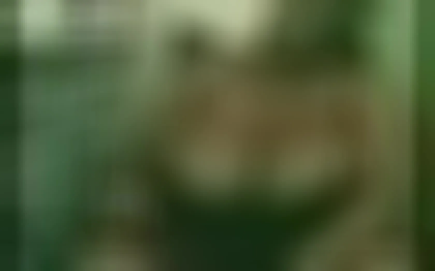 Artist XXGIANTBOOBSX Video 1