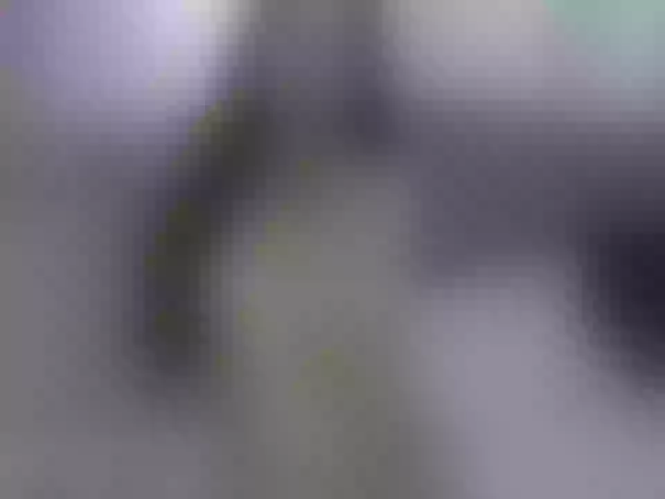 candylollyy cam model profile picture