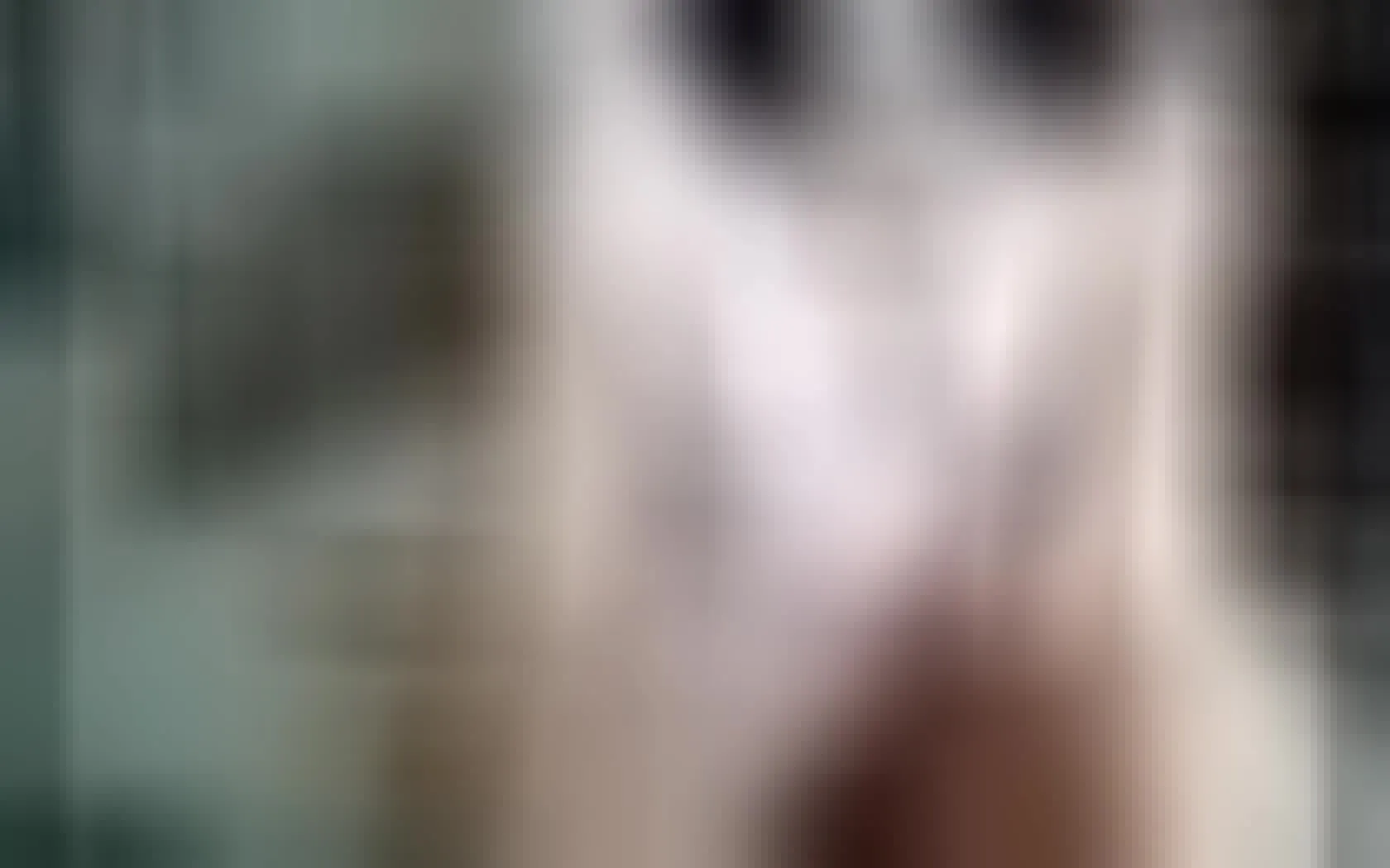 Artist Tocabeloved Video 1