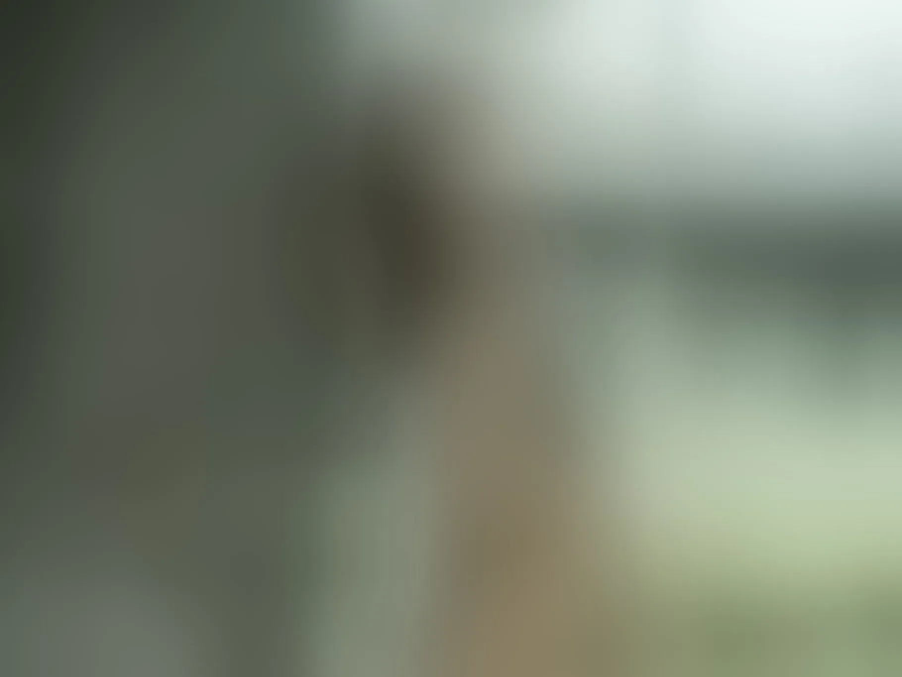 CristalBaker immagine del profilo del modello di cam