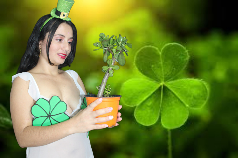 Artista keidyCooper Foto 4