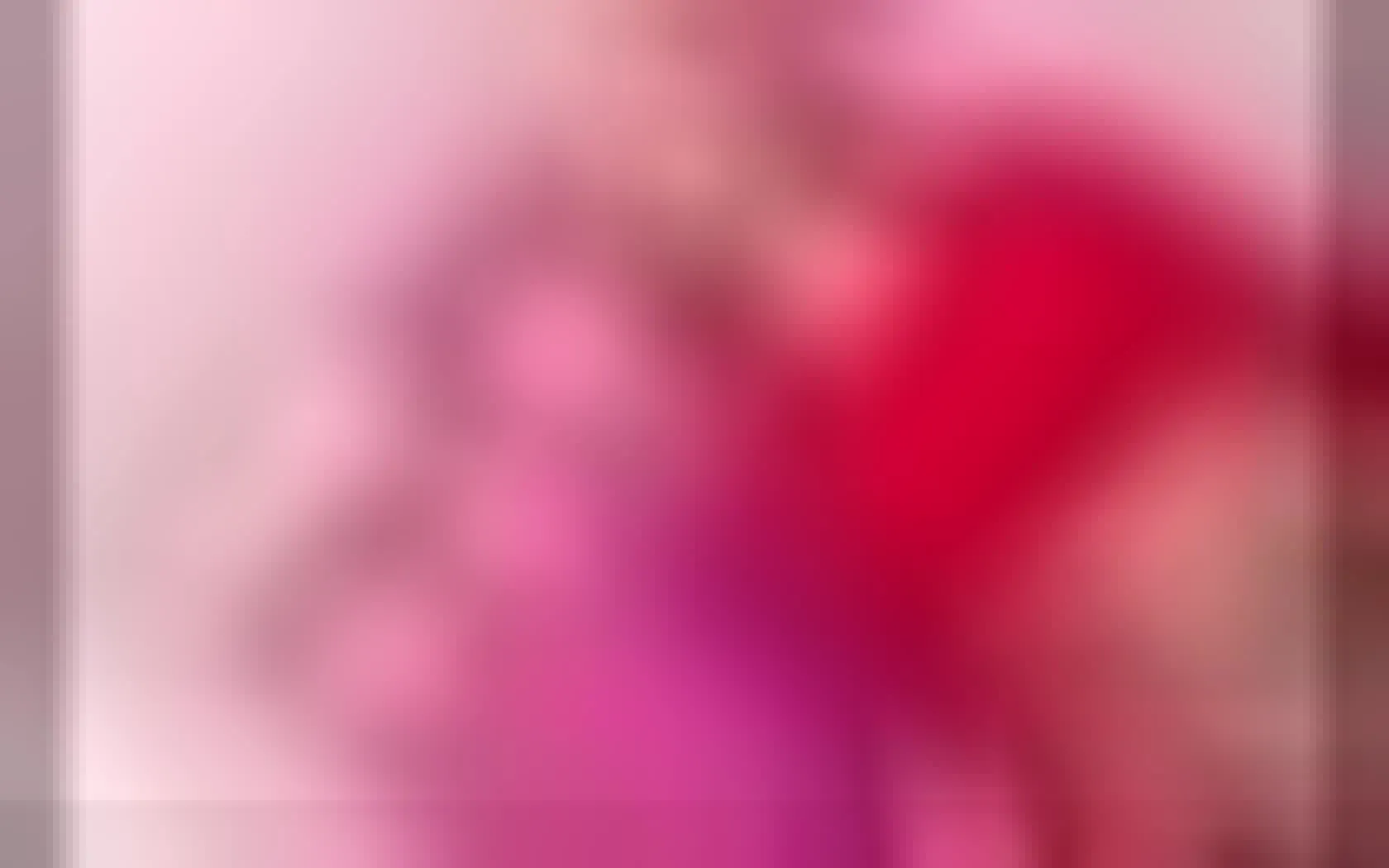 Interprete Sophiaxx20 Video 1