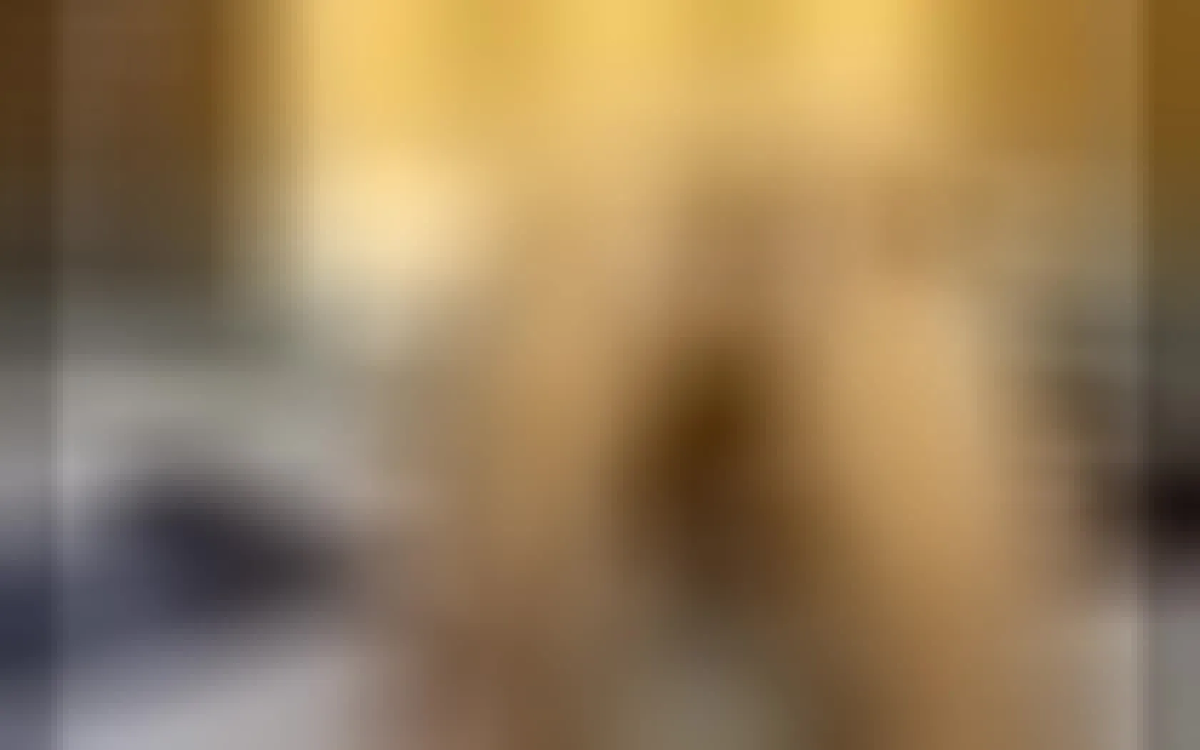 Utøver caaylin Video 1