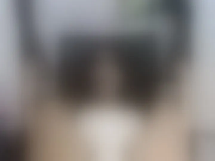 EvaSaunders cam model profile picture