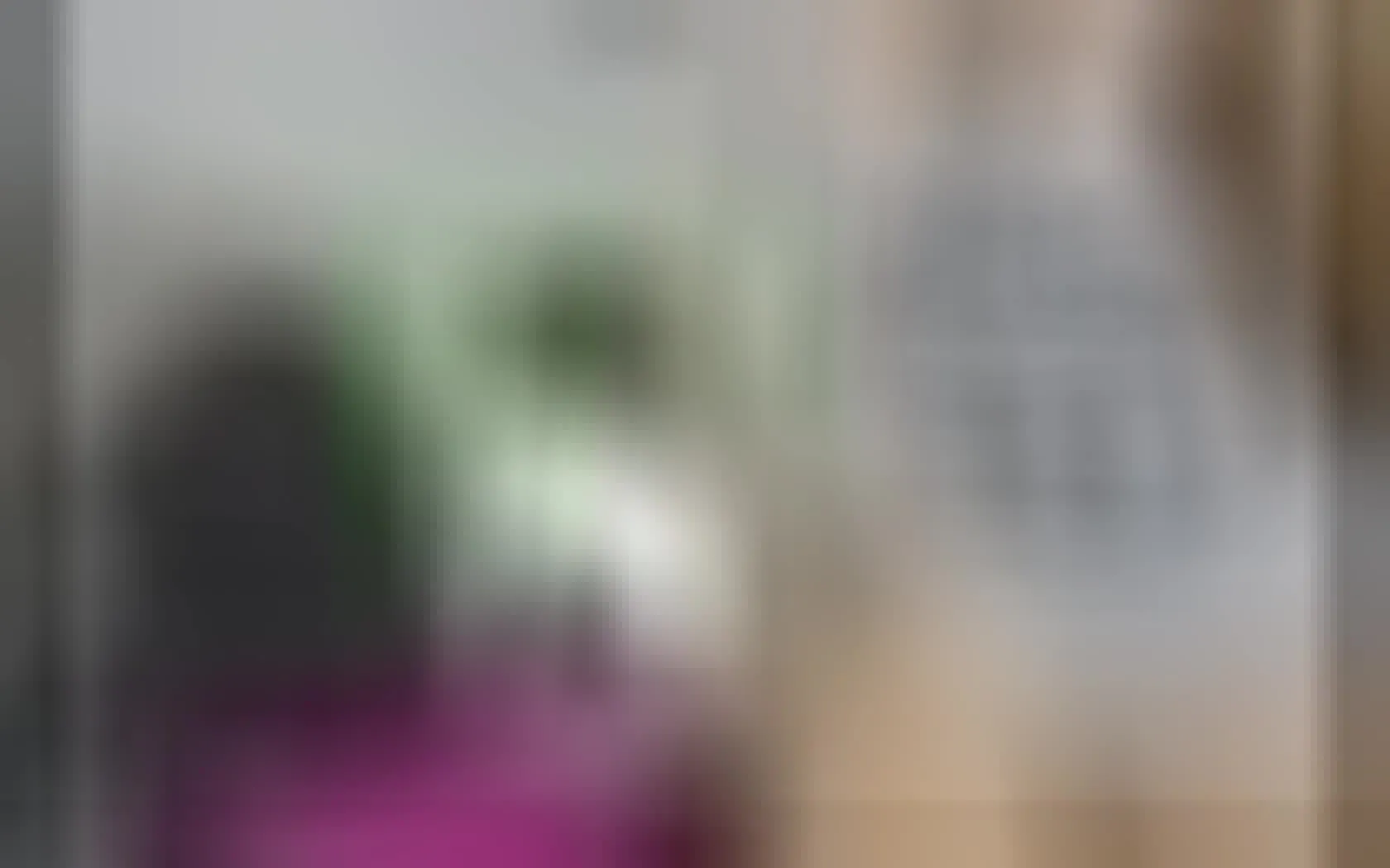 Artiest ElisaFoox Video 1