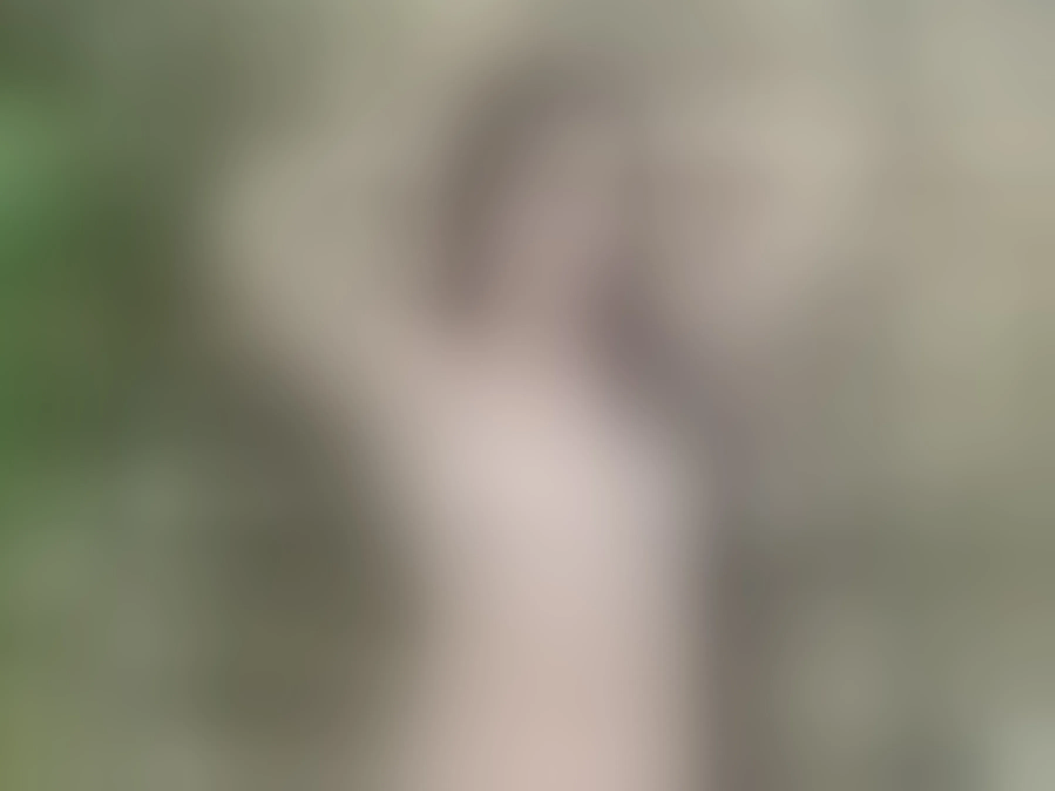 LizzieWhitte immagine del profilo del modello di cam