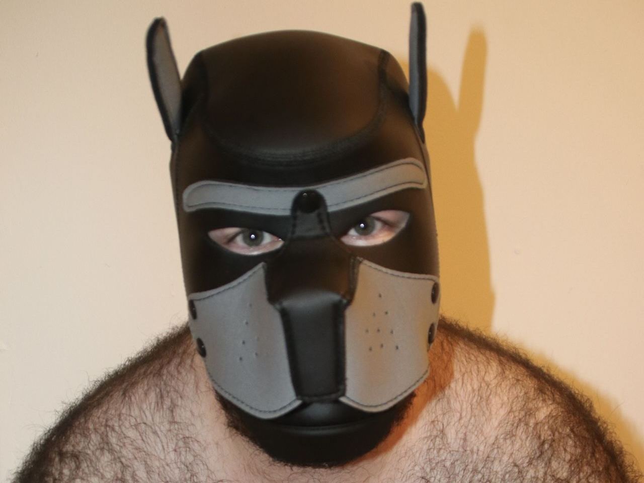 Foto de perfil de modelo de webcam de pupftm