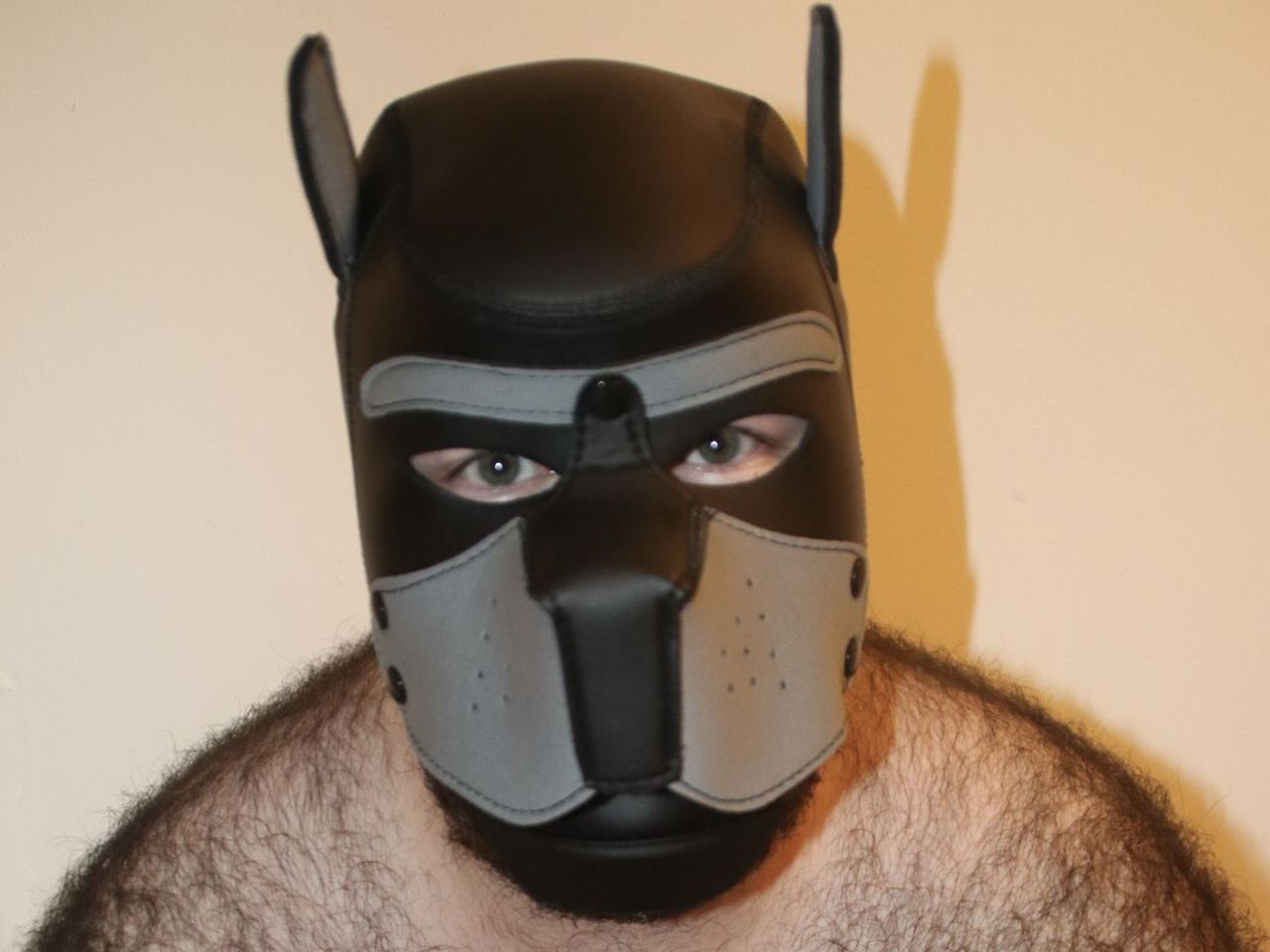 pupftm cam model profile picture 