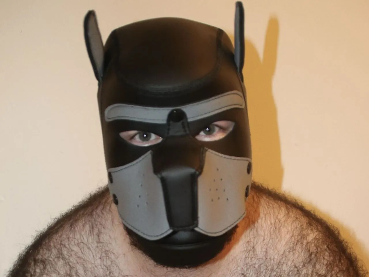 Foto de perfil de modelo de webcam de pupftm