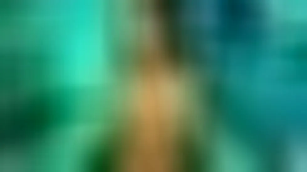 Interprete Feniixa Video 4