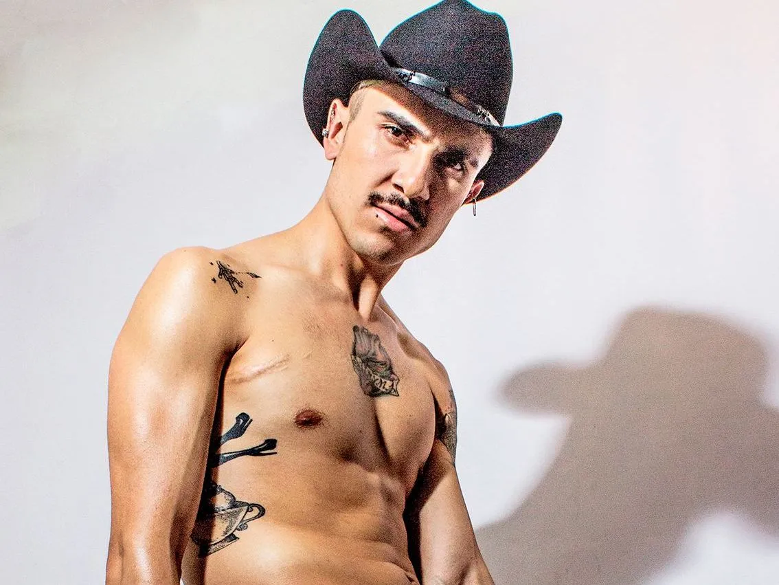 XavierLupin Profilbild des Cam-Modells