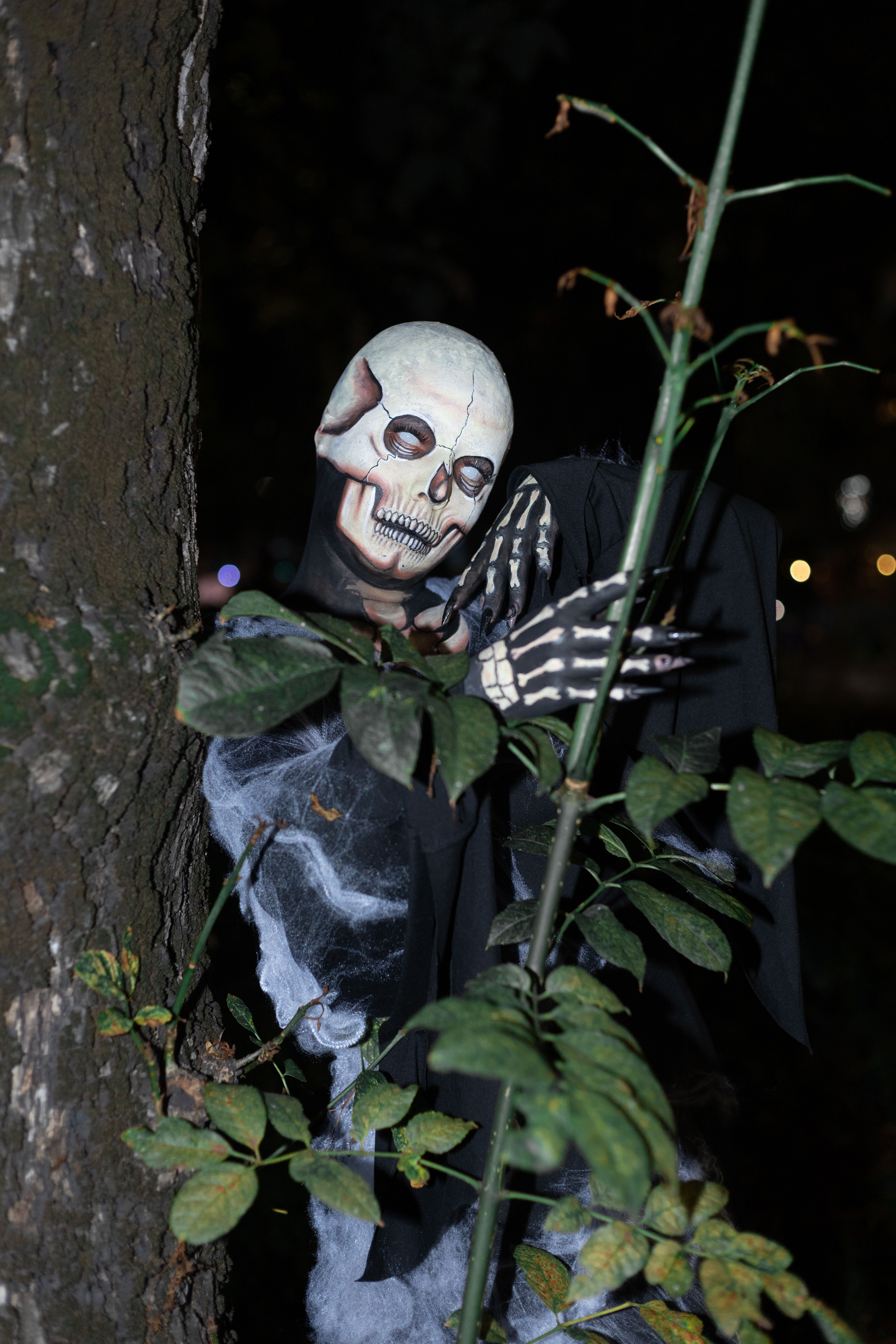 Artiest HannaCarteer Foto 1