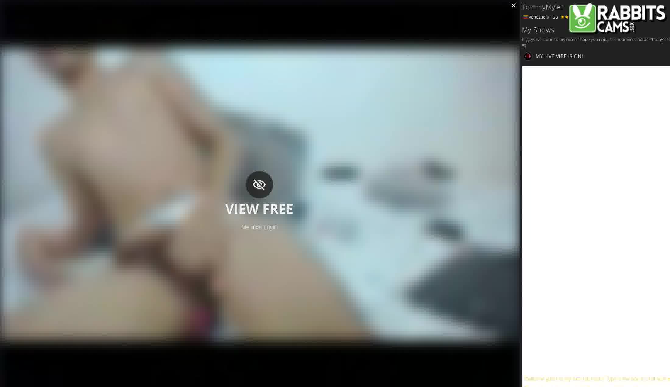 Artist TommyMyler Video 1