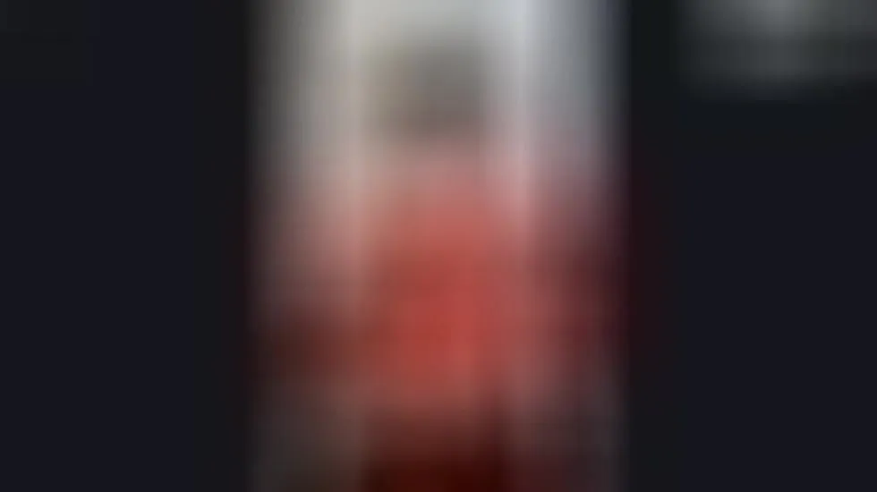 Performer PurpleKisses1204 Video 1