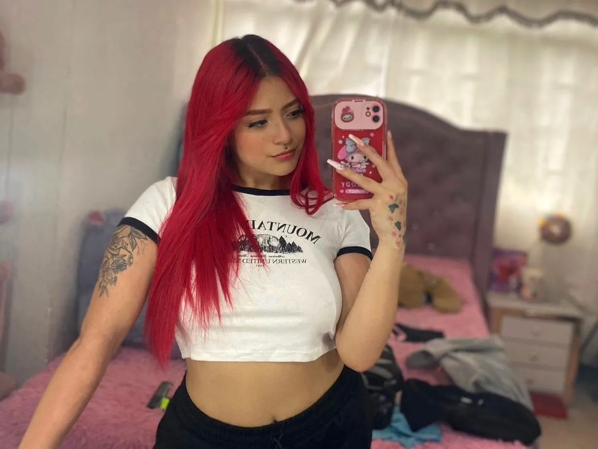 Anncam profilbild på webbkameramodell