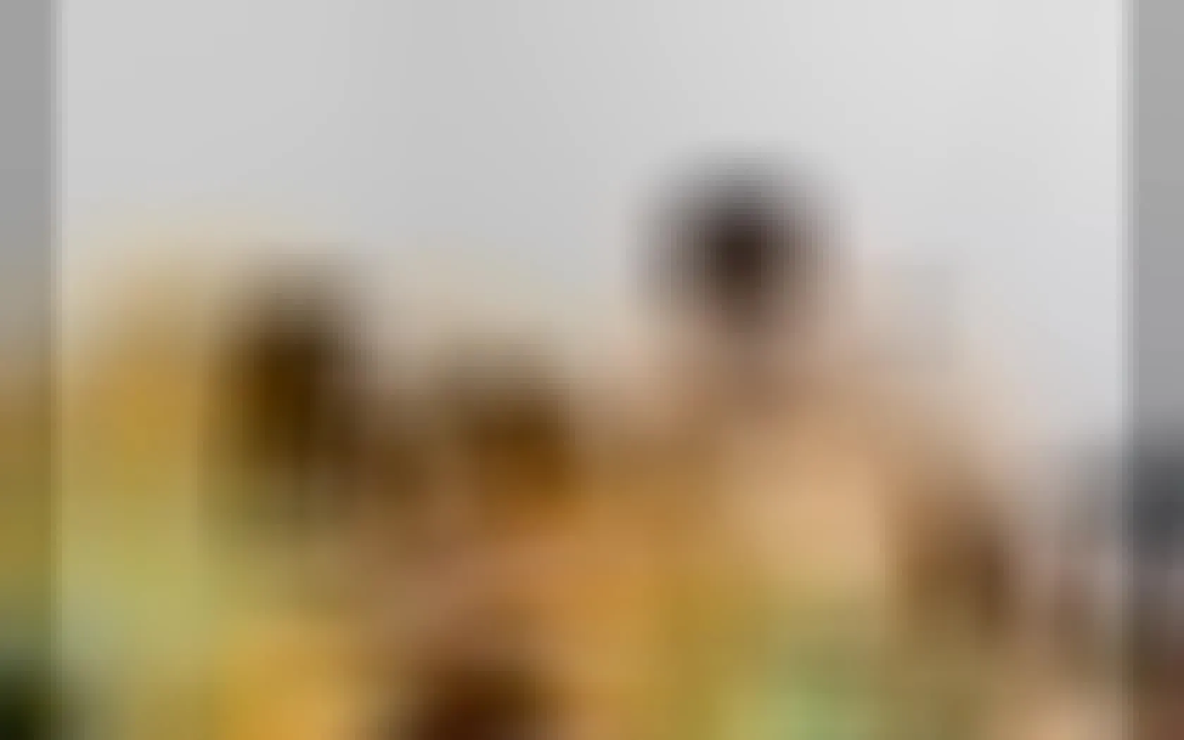 Artista DiabloRojo Video 1