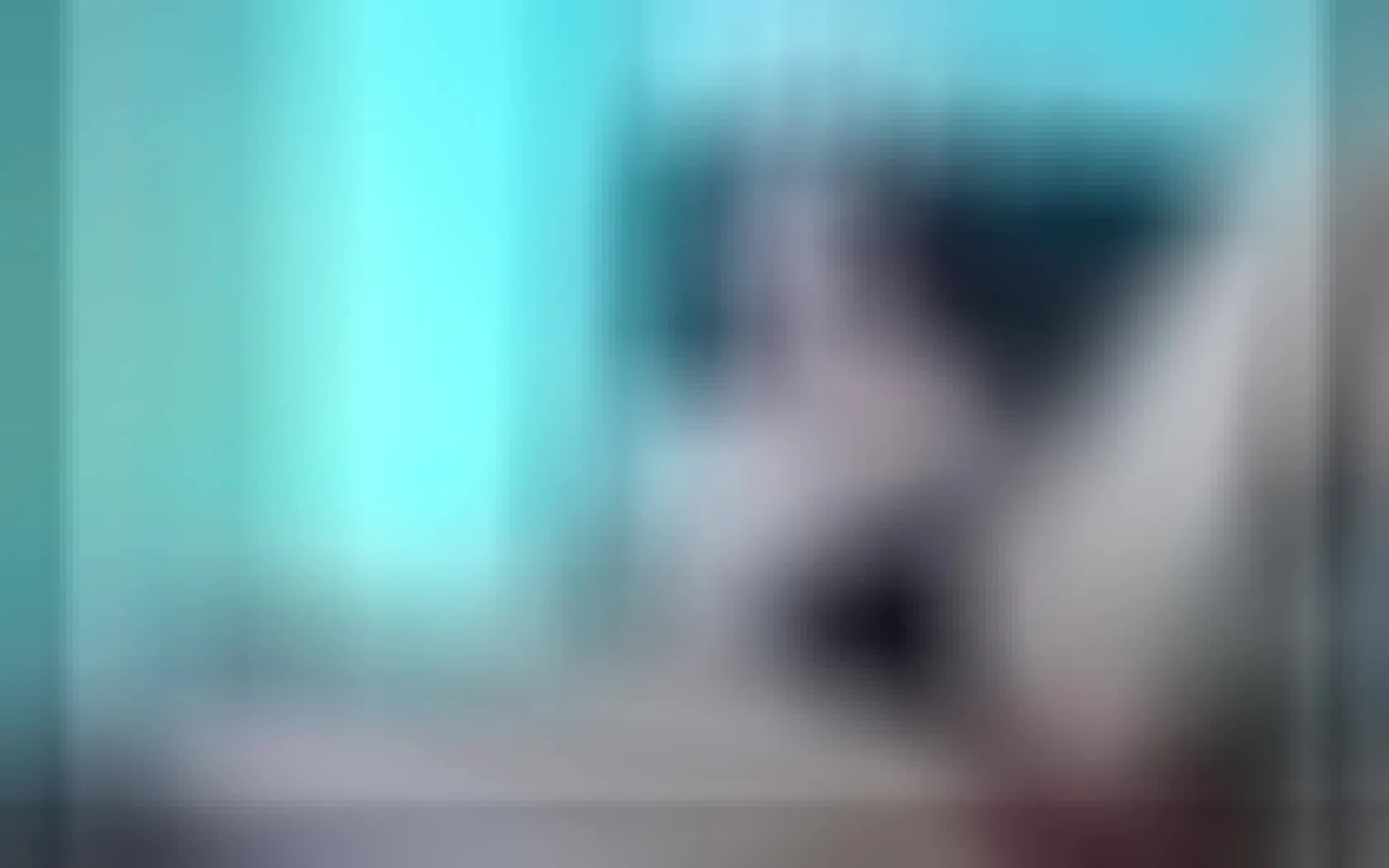 Artiest HARRYJONES19 Video 1