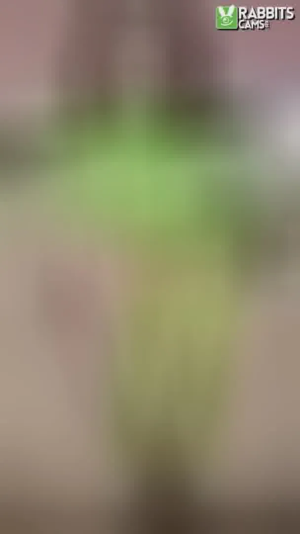 Artista AntonellaIris Video 3
