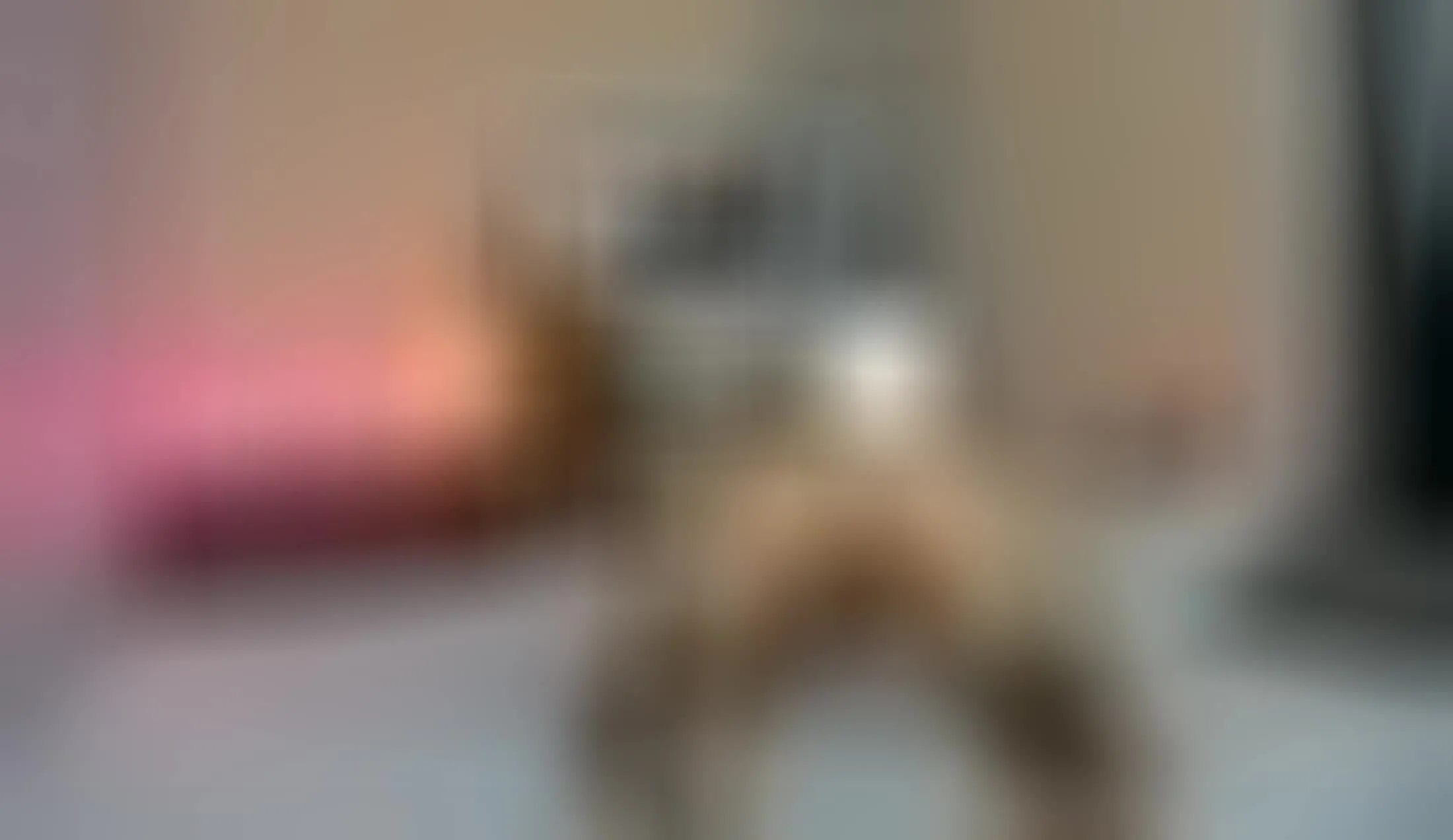 Artiest NylonMuse Video 1