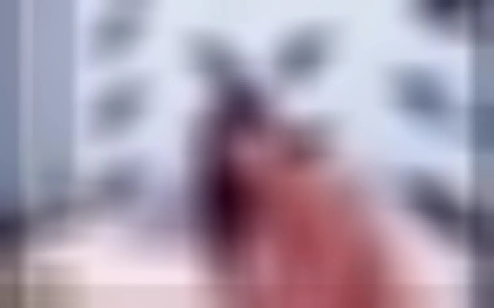 Interprète PaulinaZambrano Vidéo 1