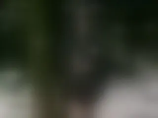 Profilbilde av imlucyferreira webkamera modell