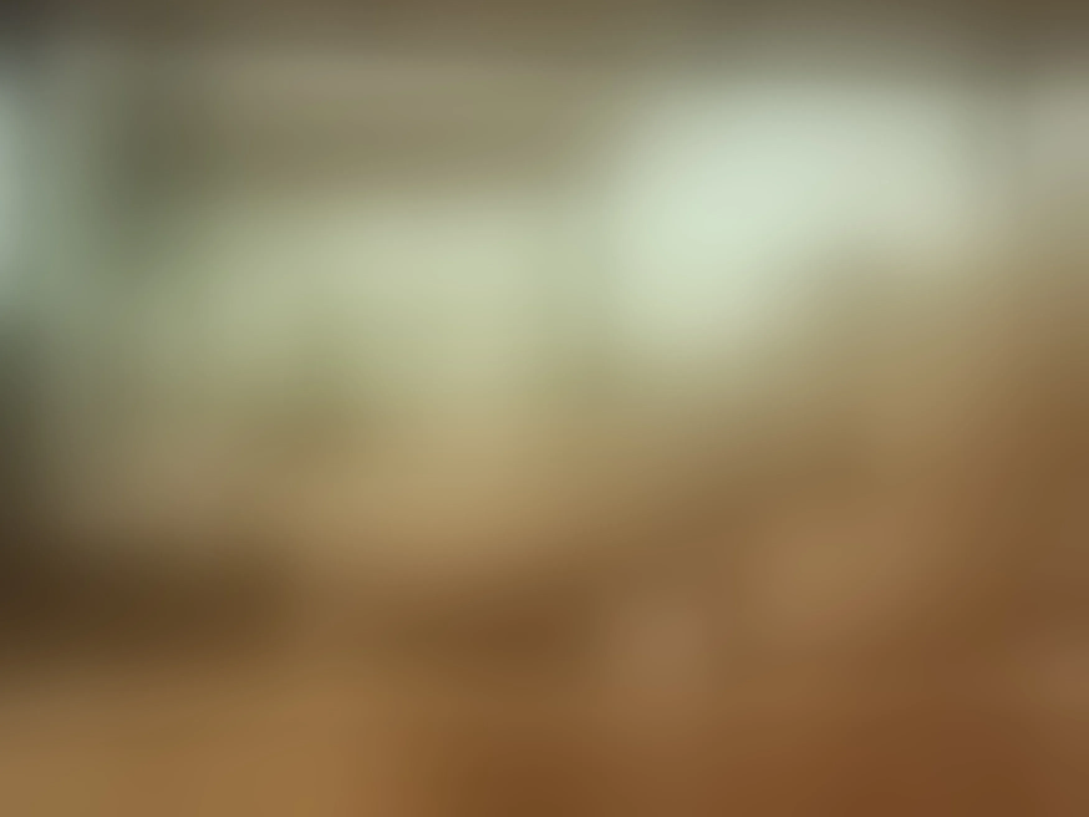 AmberMath immagine del profilo del modello di cam
