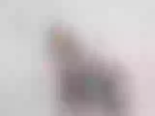 Foto de perfil de modelo de webcam de TracieLowe