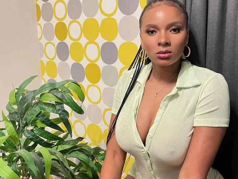 Miscatto immagine del profilo del modello di cam