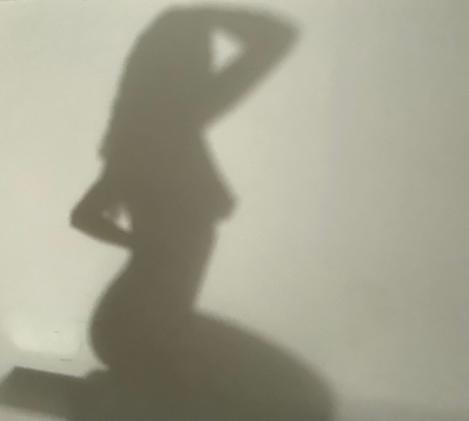 Interprete ElectraVibes Foto 7