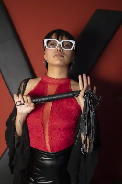 Artist VegasPet Foto 4