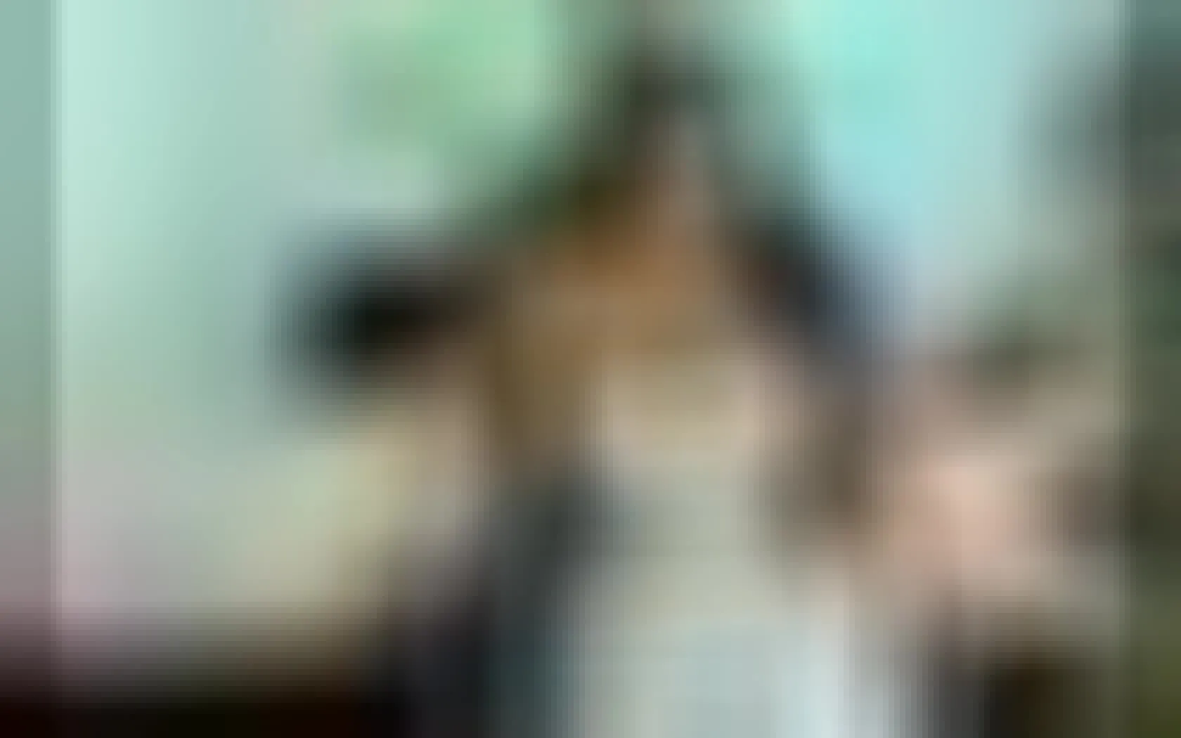 Interprète Melanyscoth Vidéo 1