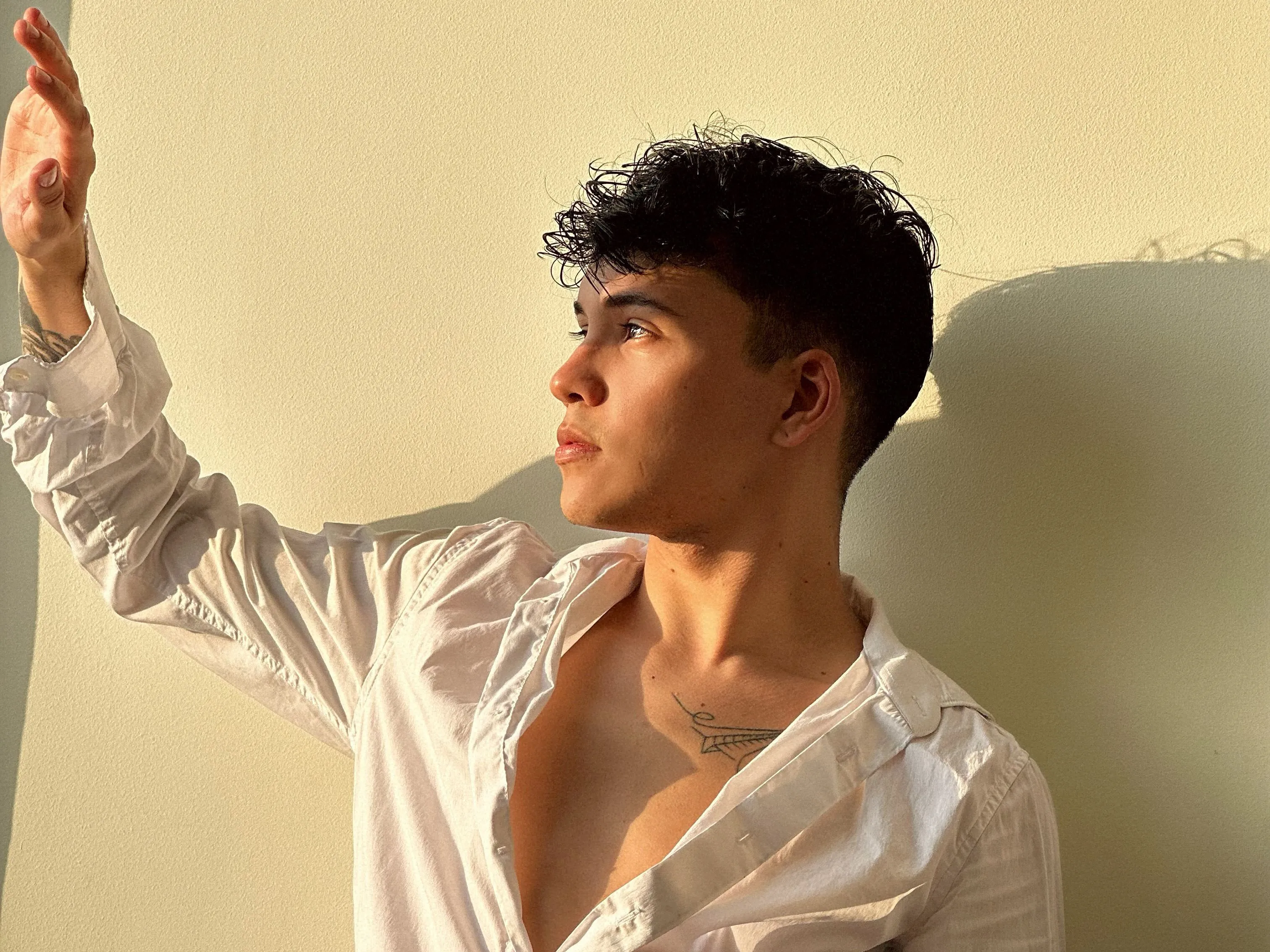 Image de profil du modèle de webcam AUSTIINNBOY